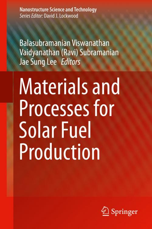 Cover of the book Materials and Processes for Solar Fuel Production by , Springer New York