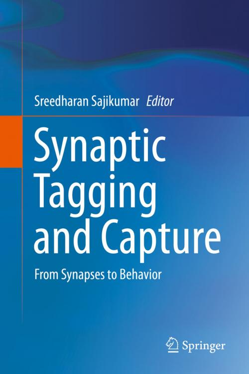 Cover of the book Synaptic Tagging and Capture by , Springer New York