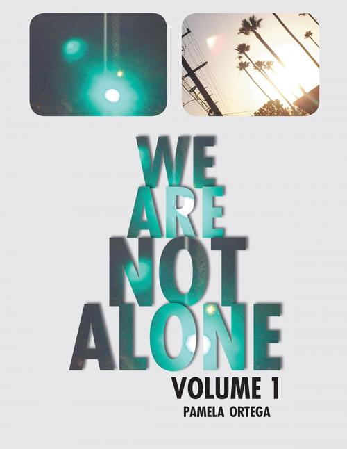 Cover of the book We Are Not Alone by Pamela Ortega, AuthorHouse