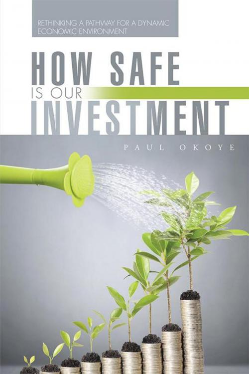 Cover of the book How Safe Is Our Investment by Paul Okoye, AuthorHouse UK