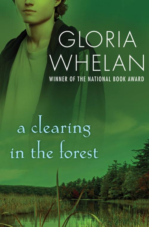Cover of the book A Clearing in the Forest by Gloria Whelan, Open Road Media