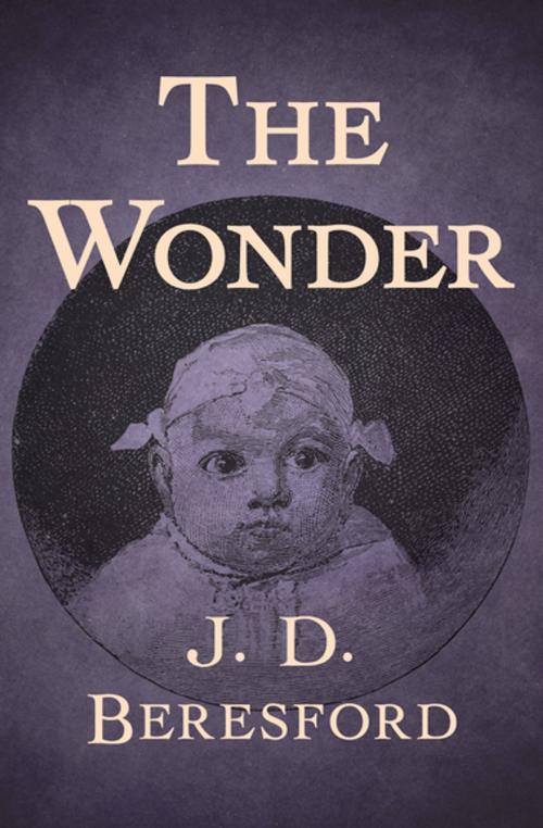 Cover of the book The Wonder by J. D. Beresford, Open Road Media