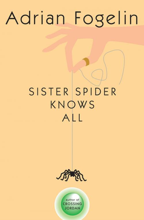 Cover of the book Sister Spider Knows All by Adrian Fogelin, Peachtree Publishers