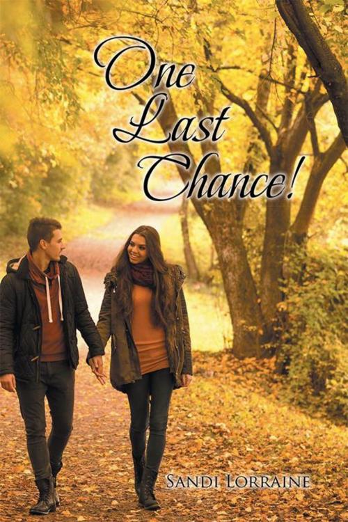 Cover of the book One Last Chance! by Sandi Lorraine, Xlibris US