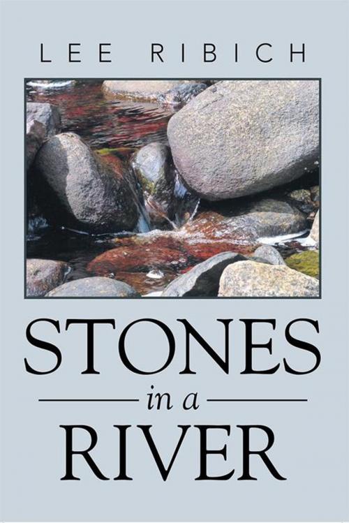 Cover of the book Stones in a River by Lee Ribich, Xlibris US