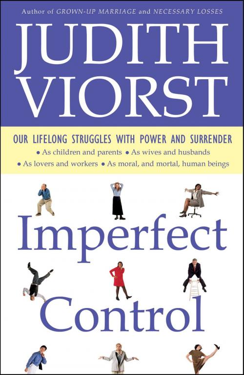 Cover of the book Imperfect Control by Judith Viorst, Simon & Schuster