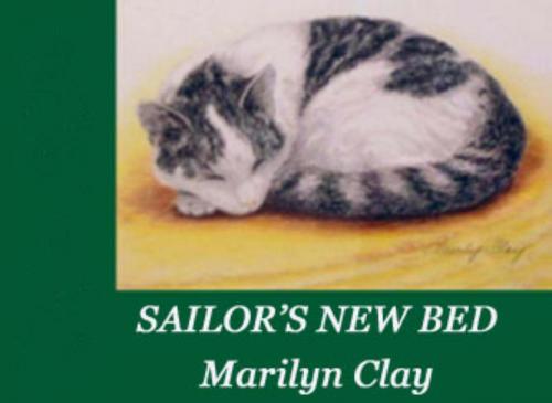 Cover of the book Sailor's New Bed by Marilyn Clay, Marilyn Clay