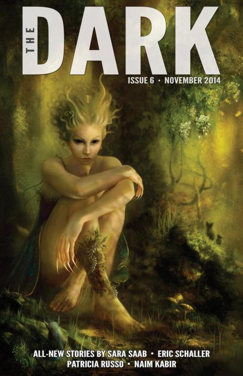 Cover of the book The Dark Issue 6 by Jack Fisher, Sean Wallace, Prime Books
