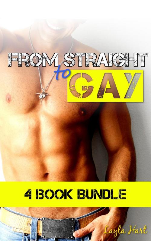 Cover of the book From Straight to Gay: 4 Book Bundle by Layla Hart, Cam Girl Studios