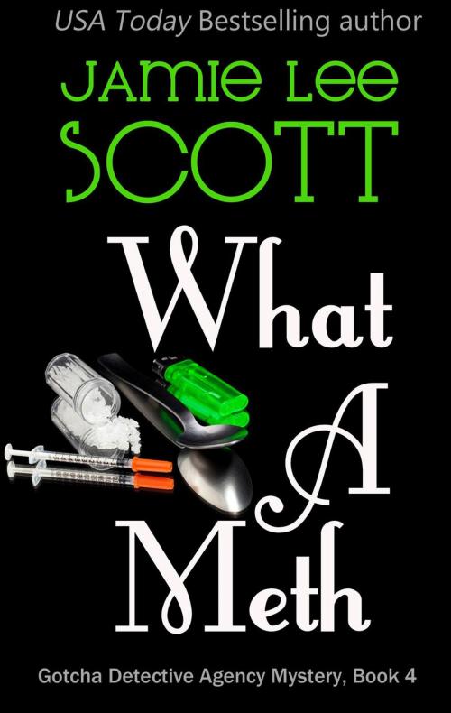 Cover of the book What A Meth by Jamie Lee Scott, Jamie Lee Scott