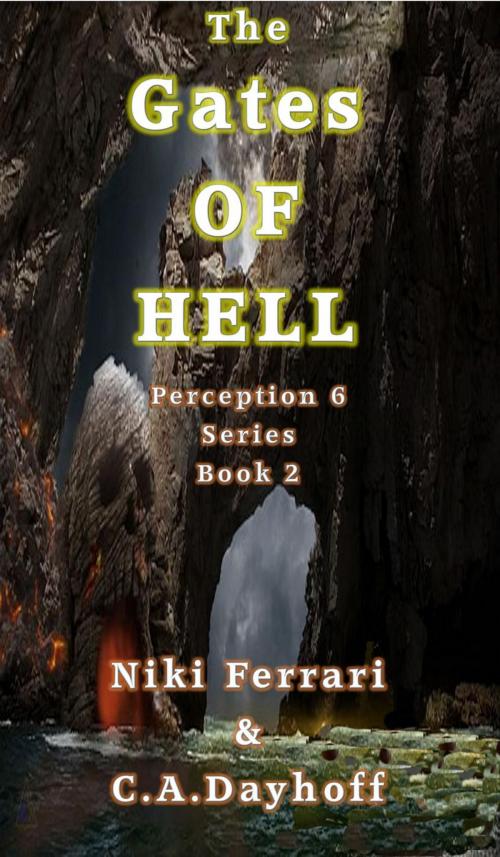 Cover of the book Perception "The Gate" by Niki Ferrari, C.A.Dayhoff, DewPoint