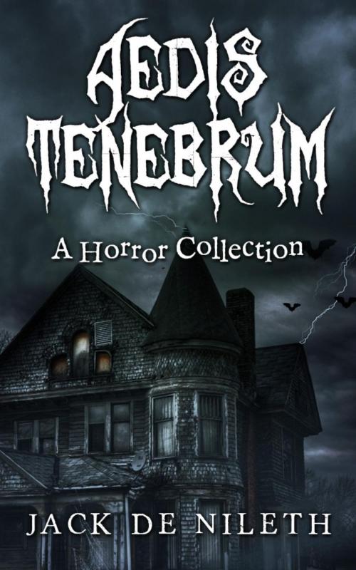 Cover of the book Aedis Tenebrum - A Horror Collection by Jack de Nileth, Jack de Nileth