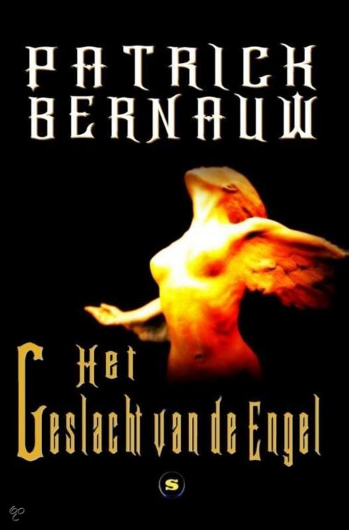 Cover of the book Het geslacht van de engel by Patrick Bernauw, vzw de Scriptomanen