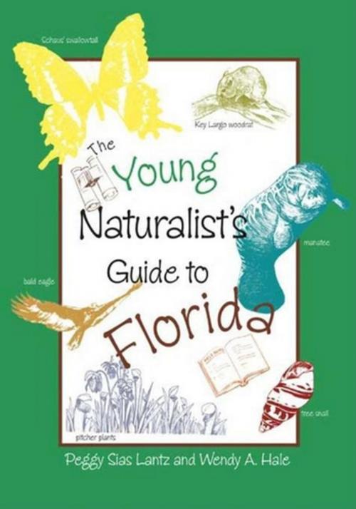 Cover of the book The Young Naturalist's Guide to Florida by Peggy Lantz, Wendy Hale, Pineapple Press