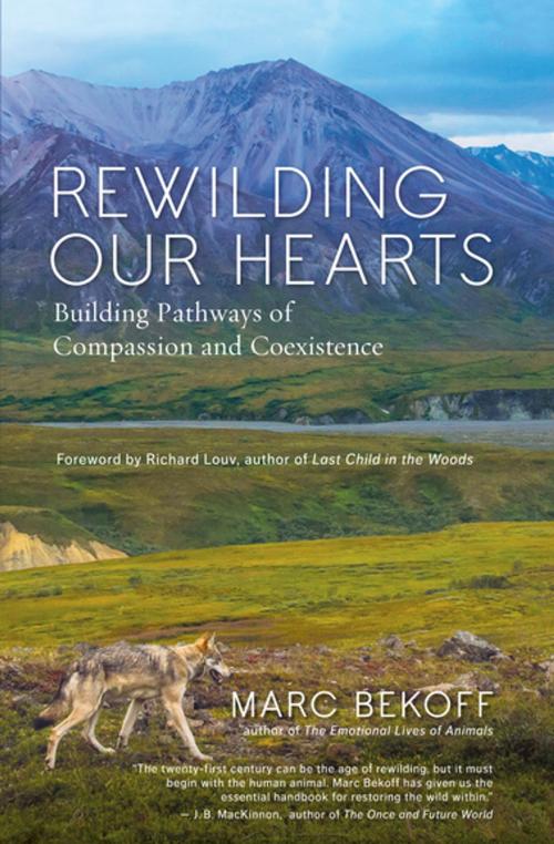 Cover of the book Rewilding Our Hearts by Marc Bekoff, New World Library