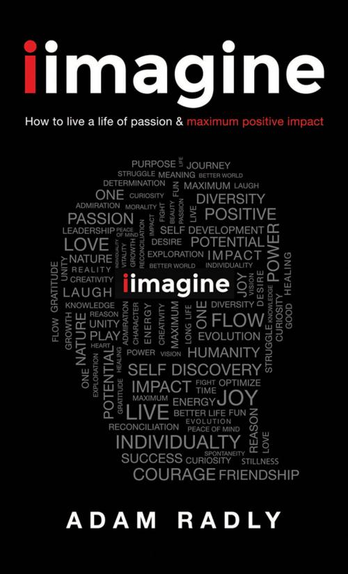 Cover of the book “I Imagine: How to Live a Life of Passion & Maximum Positive Impact" by Adam Radly, Regent Press