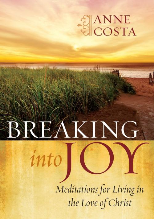 Cover of the book Breaking into Joy by Anne Costa, The Word Among Us Press