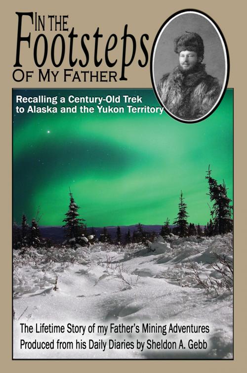 Cover of the book In The Footsteps of My Father by Sheldon Gebb, Publication Consultants