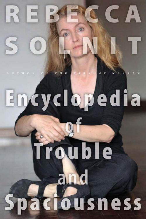 Cover of the book The Encyclopedia of Trouble and Spaciousness by Rebecca Solnit, Trinity University Press