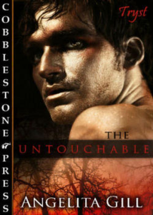 Cover of the book The Untouchable by Angelita Gill, Cobblestone Press