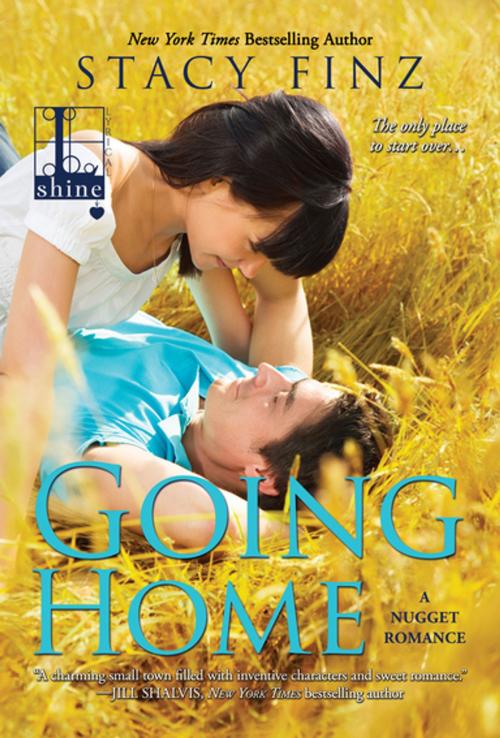 Cover of the book Going Home by Stacy Finz, Lyrical Press