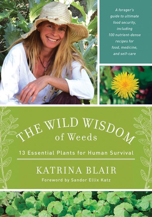 Cover of the book The Wild Wisdom of Weeds by Katrina Blair, Chelsea Green Publishing
