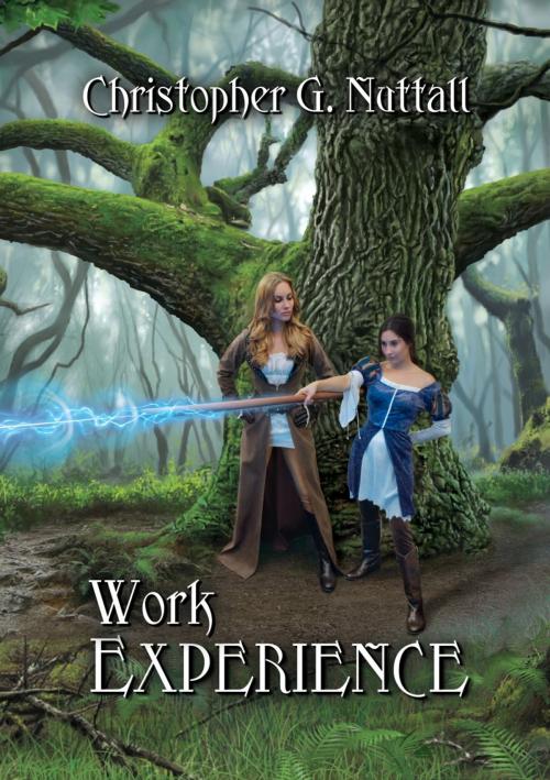 Cover of the book Work Experience by Christopher Nuttall, Twilight Times Books