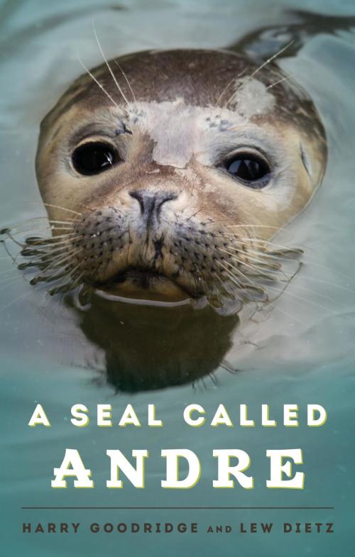 Cover of the book A Seal Called Andre by Harry Goodridge, Lew Dietz, Down East Books