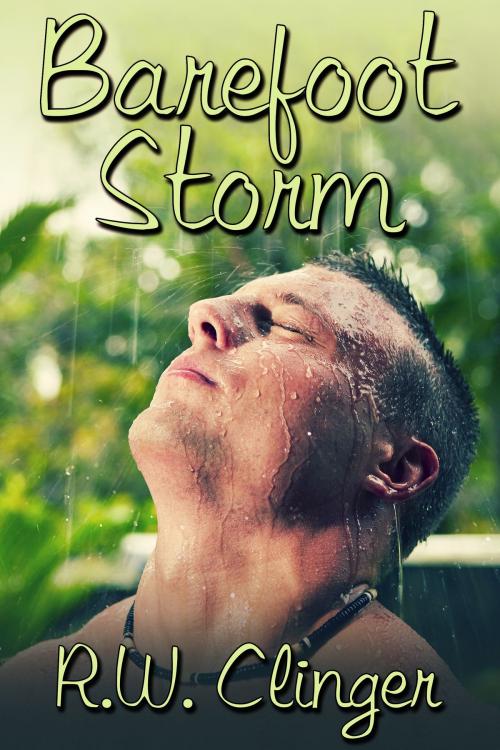 Cover of the book Barefoot Storm by R.W. Clinger, JMS Books LLC