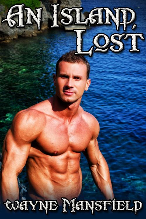 Cover of the book An Island, Lost by Wayne Mansfield, JMS Books LLC