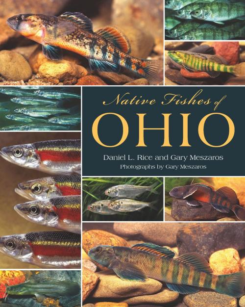 Cover of the book Native Fishes of Ohio by Daniel L. Rice, Gary Meszaros, The Kent State University Press