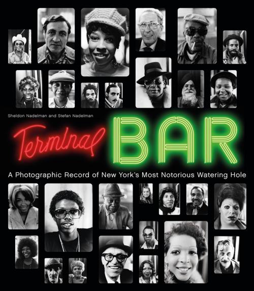 Cover of the book Terminal Bar by Stefan Nadelman, Sheldon Nadelman, Princeton Architectural Press