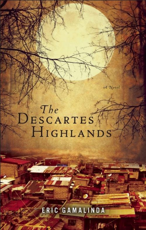 Cover of the book The Descartes Highlands by Eric Gamalinda, Akashic Books