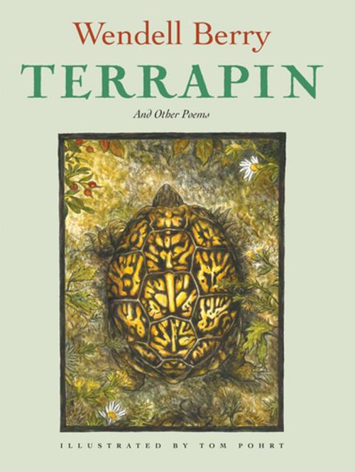 Cover of the book Terrapin by Wendell Berry, Counterpoint Press