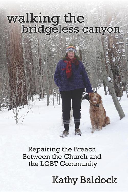 Cover of the book Walking the Bridgeless Canyon by Kathy Baldock, SEGR Publishing LLC