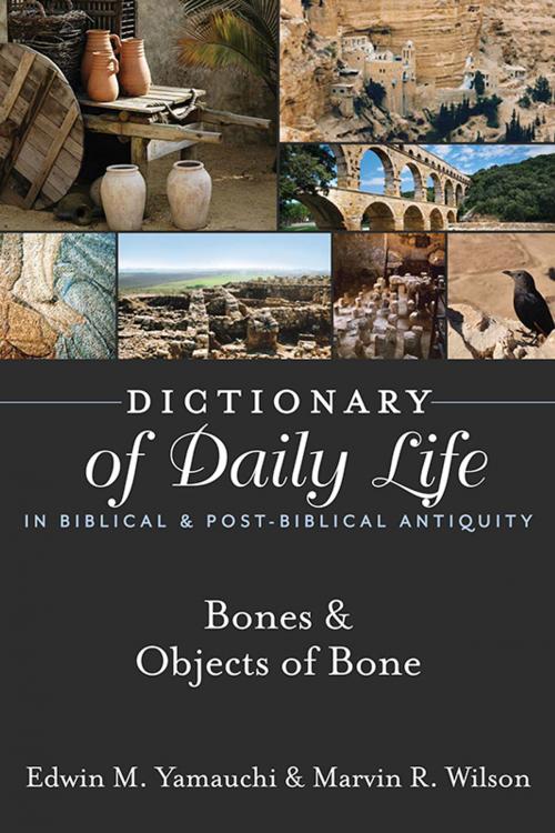 Cover of the book Dictionary of Daily Life in Biblical & Post-Biblical Antiquity: Bones & Objects of Bone by Yamauchi, Edwin M, Wilson, Marvin R., Hendrickson Publishers