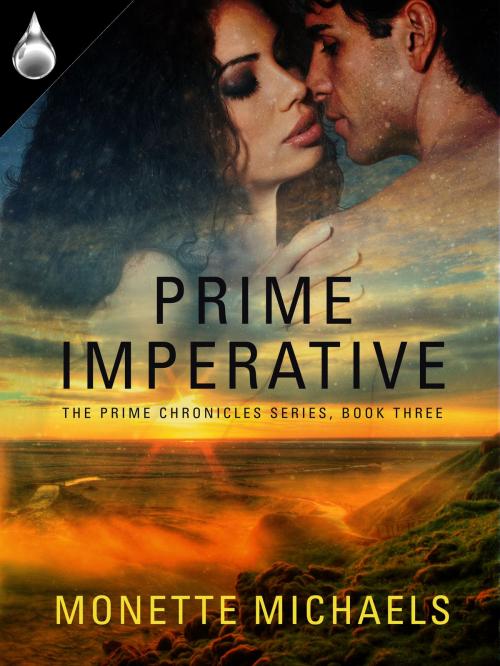 Cover of the book Prime Imperative by Monette Michaels, Liquid Silver Books