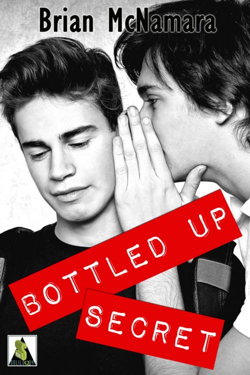 Cover of the book Bottled Up Secret by Brian McNamara, Bold Strokes Books, Inc.
