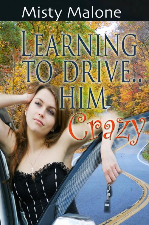 Cover of the book Learning to Drive... Him Crazy by Misty Malone, Blushing