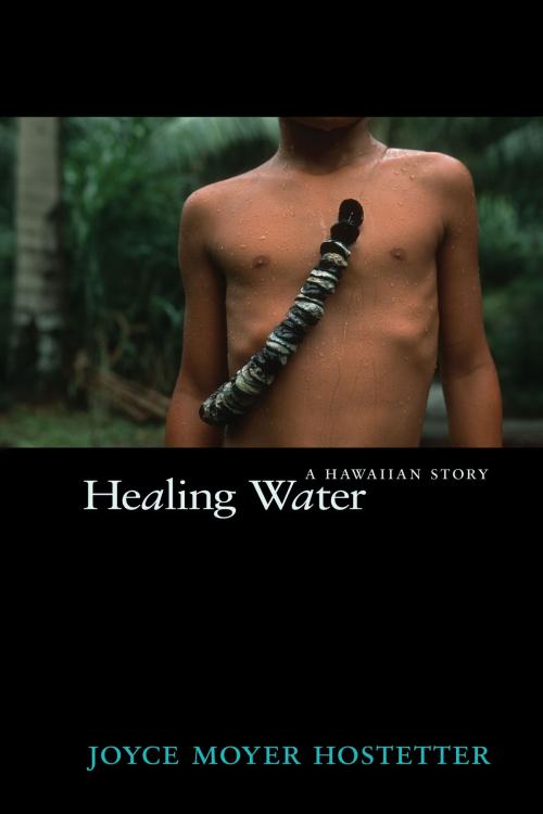 Cover of the book Healing Water by Joyce Moyer Hostetter, Boyds Mills Press