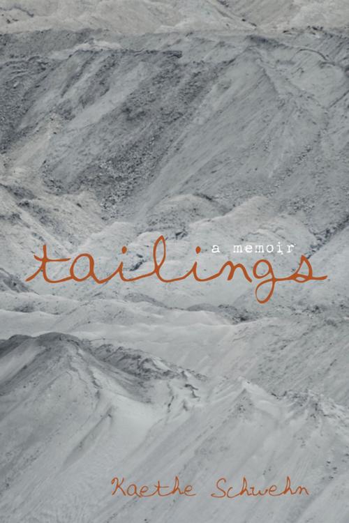 Cover of the book Tailings by Kaethe Schwehn, Wipf and Stock Publishers