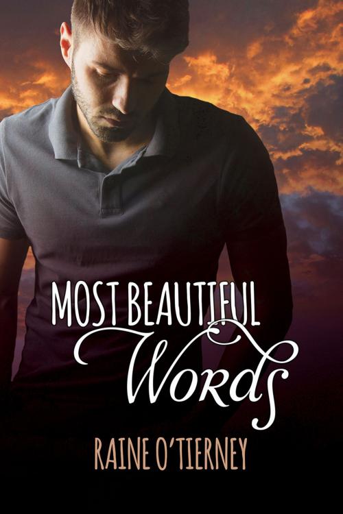 Cover of the book Most Beautiful Words by Raine O'Tierney, Dreamspinner Press