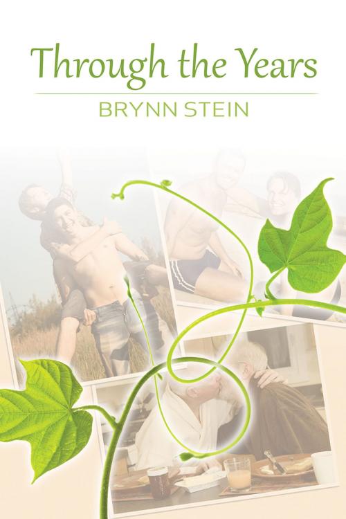 Cover of the book Through the Years by Brynn Stein, Dreamspinner Press