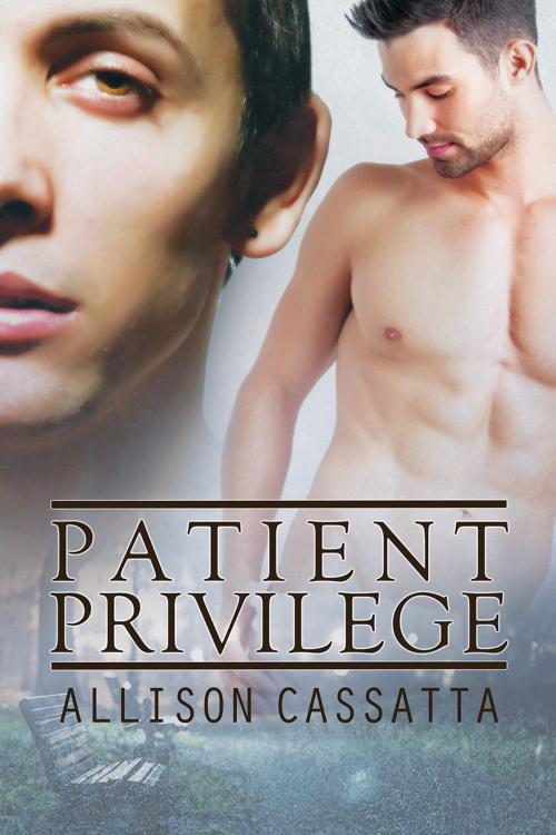 Cover of the book Patient Privilege by Allison Cassatta, Dreamspinner Press
