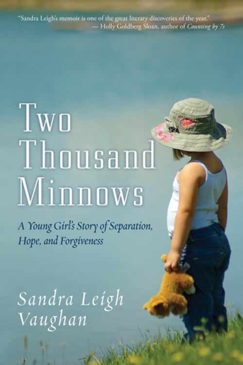 Cover of the book Two Thousand Minnows by Sandra Leigh Vaughan, Skyhorse Publishing