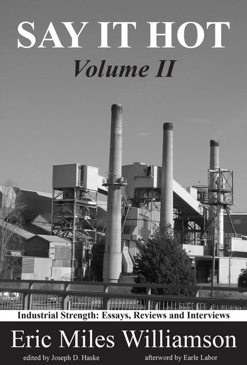 Cover of the book Say It Hot, Volume II: Industrial Strength by Eric Miles Williamson, Texas Review Press
