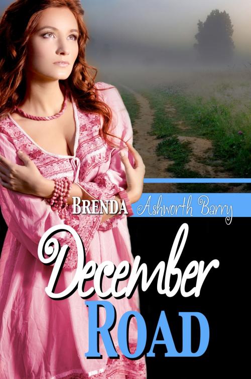 Cover of the book December Road by Brenda Ashworth Barry, Melange Books, LLC