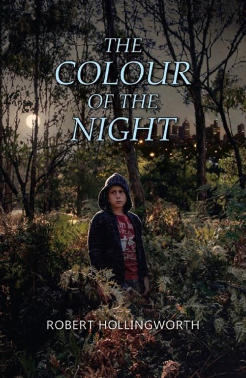 Cover of the book The Colour of the Night by Robert Hollingworth, Hybrid Publishers
