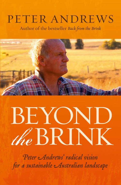 Cover of the book Beyond the Brink by Peter Andrews, ABC Books
