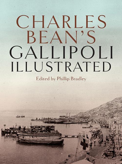 Cover of the book Charles Bean's Gallipoli by Phillip Bradley, Allen & Unwin